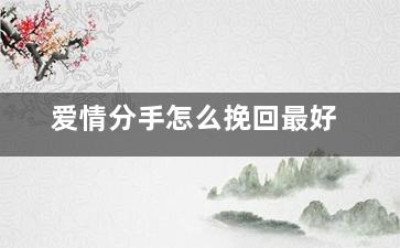 爱情分手怎么挽回最好