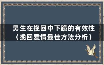 男生在挽回中下跪的有效性（挽回爱情最佳方法分析）