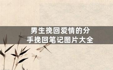 男生挽回爱情的分手挽回笔记图片大全