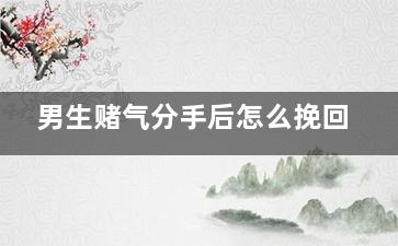 男生赌气分手后怎么挽回（男生赌气分手后怎么挽回女朋友）