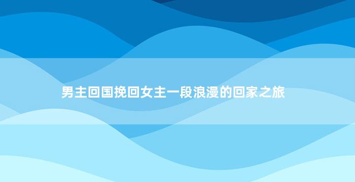 男主回国挽回女主一段浪漫的回家之旅
