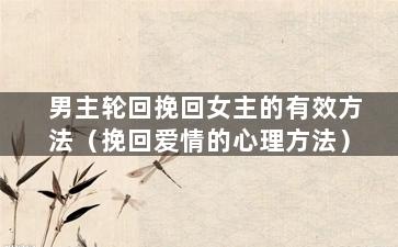 男主轮回挽回女主的有效方法（挽回爱情的心理方法）