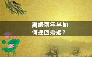 离婚两年半如何挽回婚姻？