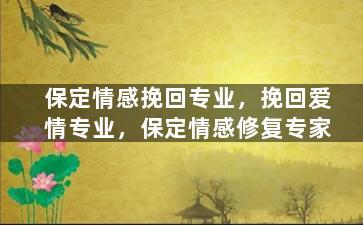 保定情感挽回专业，挽回爱情专业，保定情感修复专家