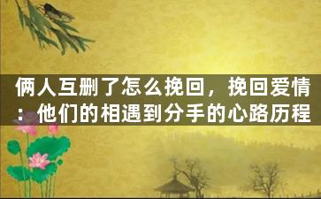 俩人互删了怎么挽回，挽回爱情：他们的相遇到分手的心路历程