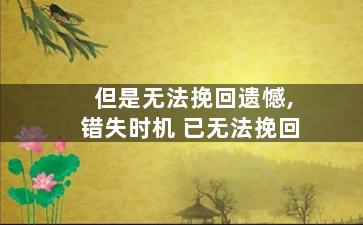 但是无法挽回遗憾,错失时机