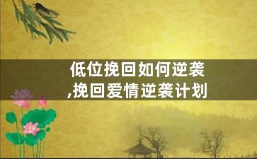 低位挽回如何逆袭,挽回爱情逆袭计划