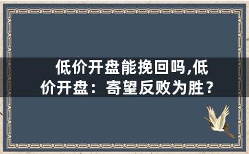 低价开盘能挽回吗,低价开盘：寄望反败为胜？