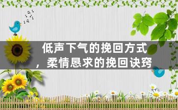 低声下气的挽回方式，柔情恳求的挽回诀窍