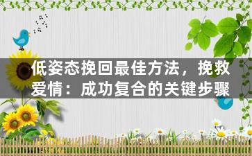 低姿态挽回最佳方法，挽救爱情：成功复合的关键步骤
