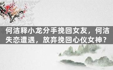 何洁释小龙分手挽回女友，何洁失恋遭遇，放弃挽回心仪女神？