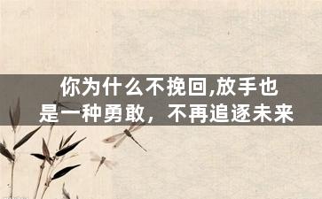 你为什么不挽回,放手也是一种勇敢，不再追逐未来