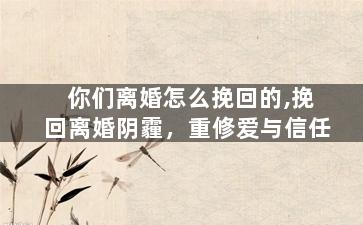 你们离婚怎么挽回的,挽回离婚阴霾，重修爱与信任