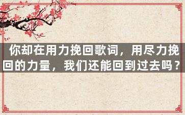 你却在用力挽回歌词，用尽力挽回的力量，我们还能回到过去吗？