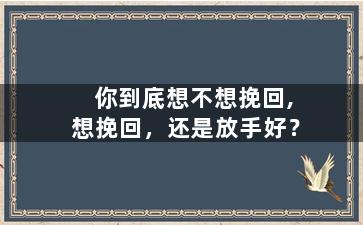 你到底想不想挽回,想挽回，还是放手好？