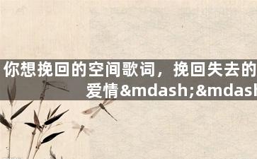 你想挽回的空间歌词，挽回失去的爱情——《你想挽回的空间》歌词
