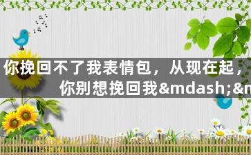 你挽回不了我表情包，从现在起，你别想挽回我——表情包告诉你