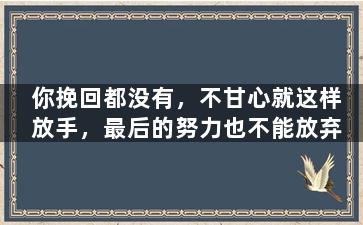 你挽回都没有，不甘心就这样放手，最后的努力也不能放弃