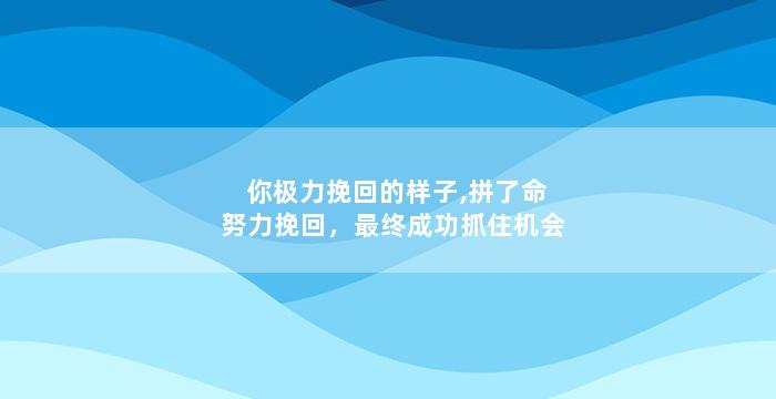 你极力挽回的样子,拼了命努力挽回，最终成功抓住机会