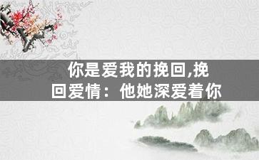 你是爱我的挽回,挽回爱情：他她深爱着你