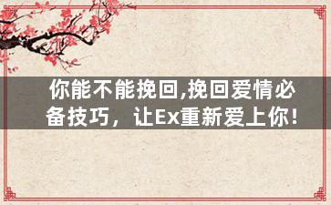 你能不能挽回,挽回爱情必备技巧，让Ex重新爱上你！