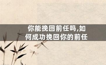 你能挽回前任吗,如何成功挽回你的前任