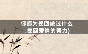 你都为挽回做过什么,挽回爱情的努力)
