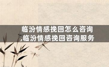 临汾情感挽回怎么咨询,临汾情感挽回咨询服务