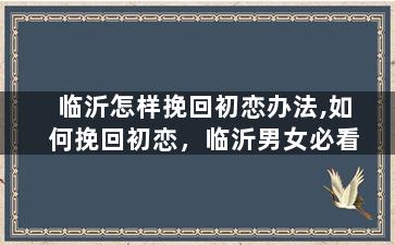 临沂怎样挽回初恋办法,如何挽回初恋，临沂男女必看
