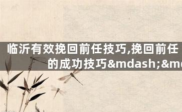 临沂有效挽回前任技巧,挽回前任的成功技巧——临沂案例