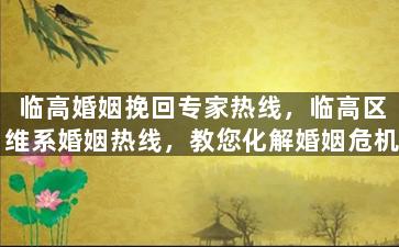 临高婚姻挽回专家热线，临高区维系婚姻热线，教您化解婚姻危机