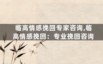 临高情感挽回专家咨询,临高情感挽回：专业挽回咨询