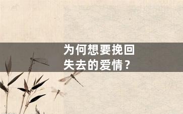 为何想要挽回失去的爱情？（为什么要挽回一个不爱自己的人）