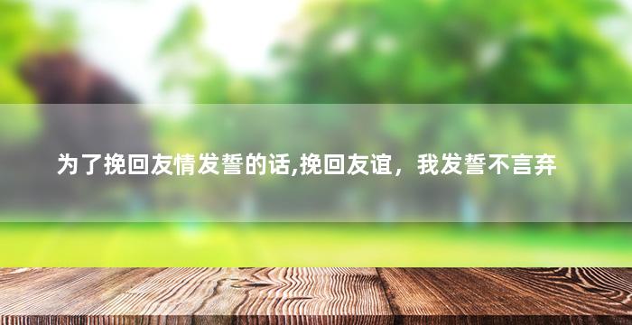 为了挽回友情发誓的话,挽回友谊，我发誓不言弃