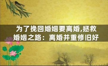 为了挽回婚姻要离婚,拯救婚姻之路：离婚并重修旧好