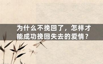 为什么不挽回了，怎样才能成功挽回失去的爱情？