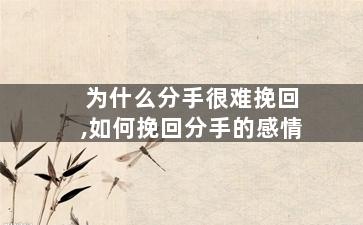 为什么分手很难挽回,如何挽回分手的感情