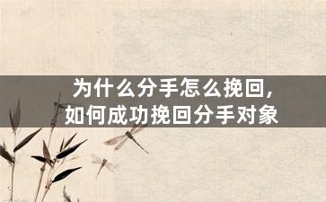 为什么分手怎么挽回,如何成功挽回分手对象