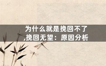 为什么就是挽回不了,挽回无望：原因分析