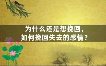 为什么还是想挽回，如何挽回失去的感情？