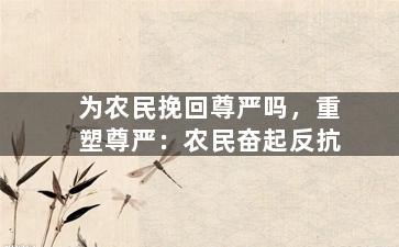 为农民挽回尊严吗，重塑尊严：农民奋起反抗