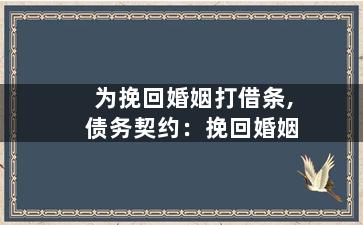 为挽回婚姻打借条,债务契约：挽回婚姻
