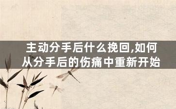 主动分手后什么挽回,如何从分手后的伤痛中重新开始