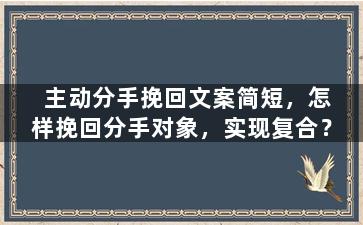 主动分手挽回文案简短，怎样挽回分手对象，实现复合？