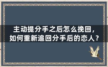 主动提分手之后怎么挽回，如何重新追回分手后的恋人？