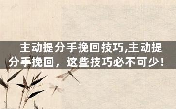 主动提分手挽回技巧,主动提分手挽回，这些技巧必不可少！