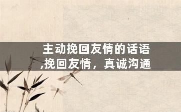 主动挽回友情的话语,挽回友情，真诚沟通