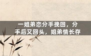 一姐弟恋分手挽回，分手后又回头，姐弟情长存