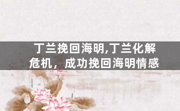 丁兰挽回海明,丁兰化解危机，成功挽回海明情感