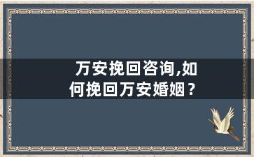 万安挽回咨询,如何挽回万安婚姻？